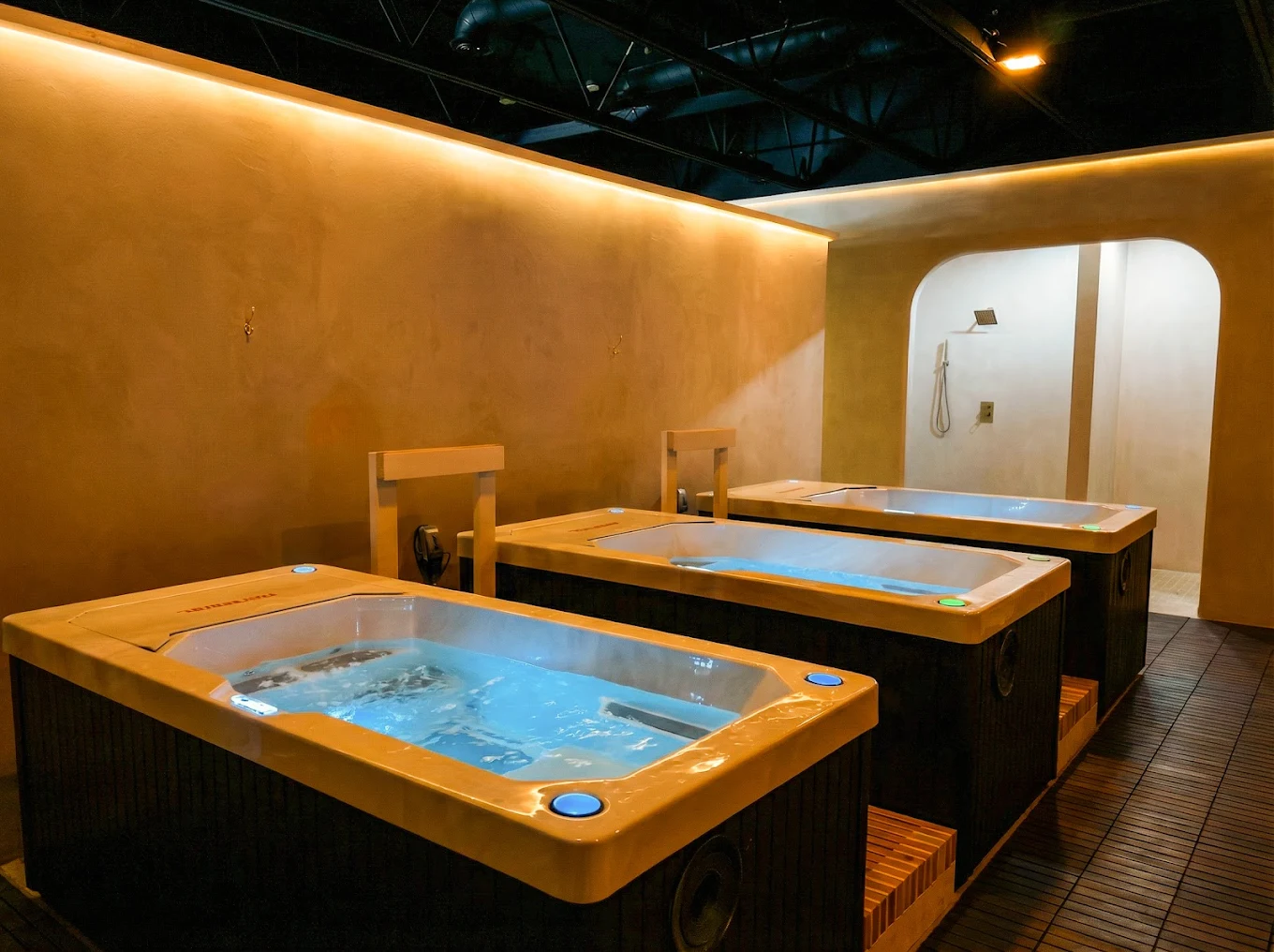 Cold plunge tubs
